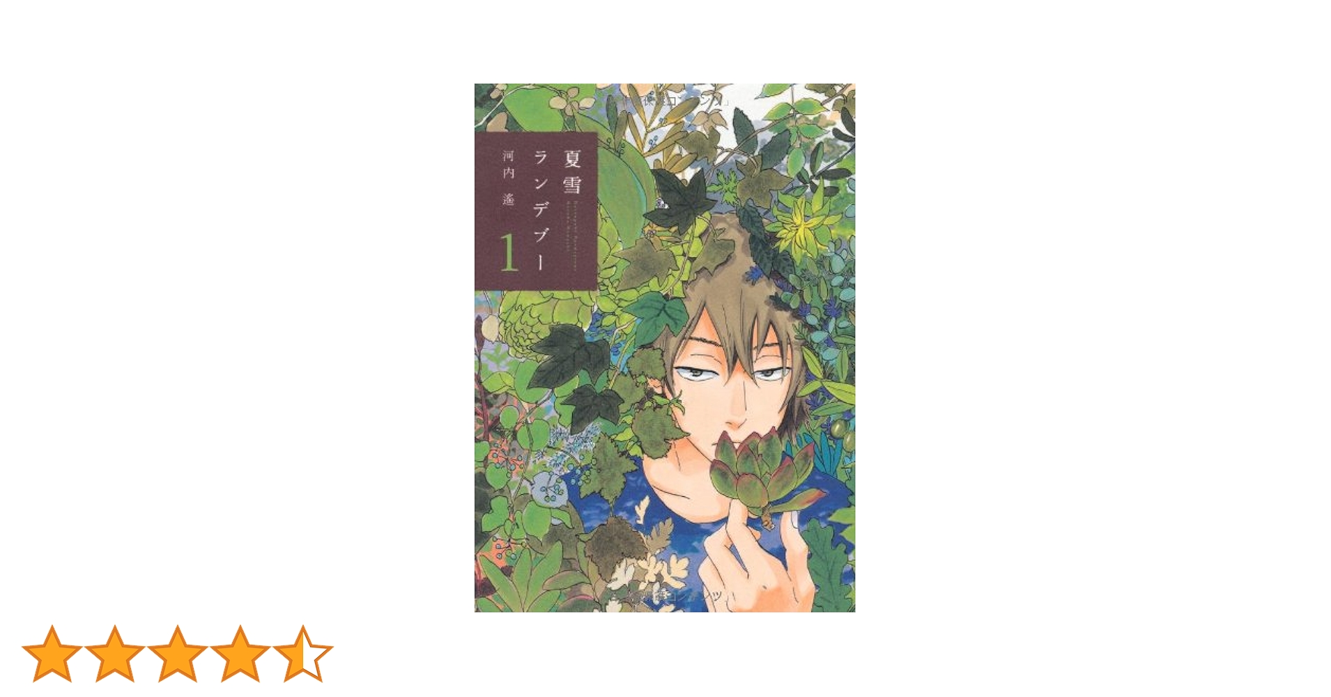 Amazon.co.jp: 夏雪ランデブー 1 (Feelコミックス) : 河内 遙: 本